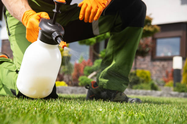 Trusted Catonsville, MD Pest Control Experts