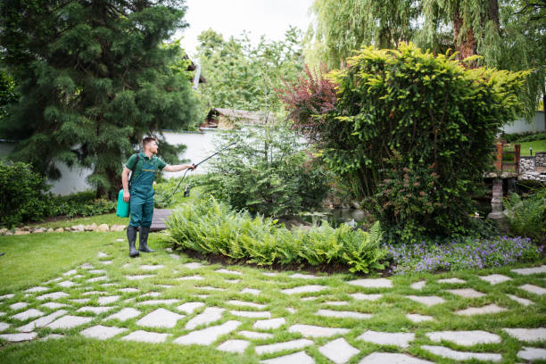 Best Pest Control Near Me  in Catonsville, MD