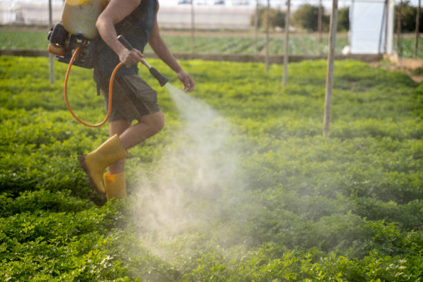 Best Affordable Pest Control Services  in Catonsville, MD