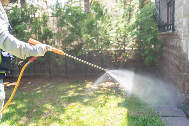 Best Local Pest Control Services  in Catonsville, MD
