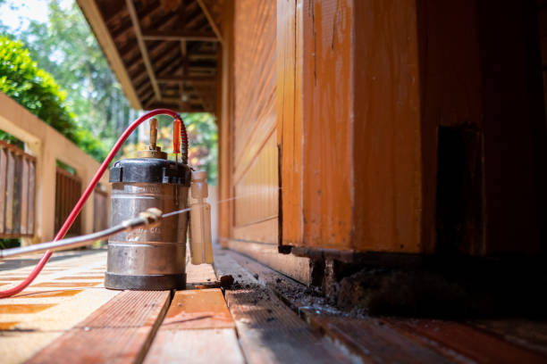Best Cockroach Control Services  in Catonsville, MD