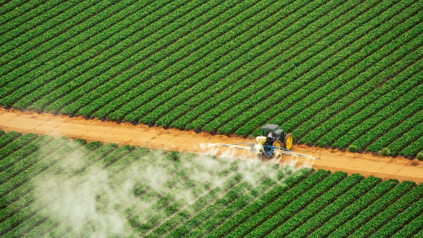 Best Pest Removal Services  in Catonsville, MD