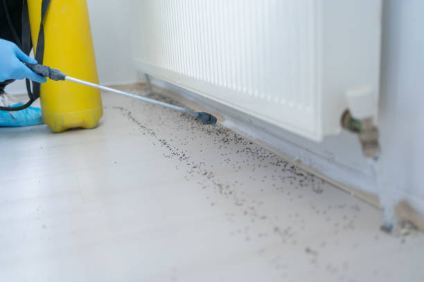 Insect Control in Catonsville, MD