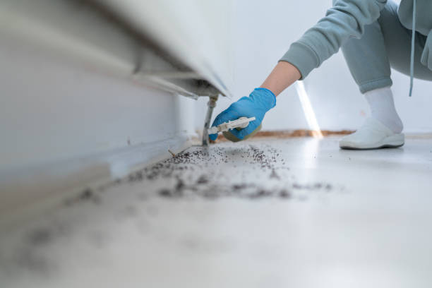 Best Emergency Pest Control  in Catonsville, MD